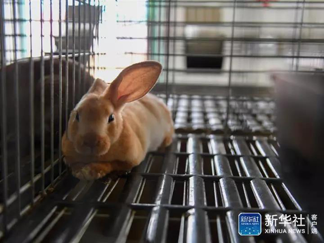 香港最精准十码